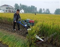小型水稻收割機(jī)