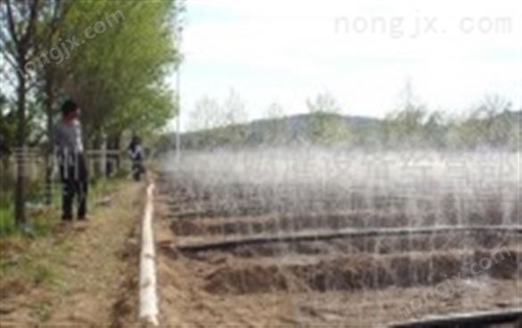 玉米打药机 全自动打药机多少钱