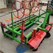 胡萝卜点播机 汽油手推蔬菜菜籽播种机 韭菜油菜种植机
