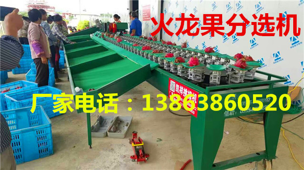 火龙果选果机