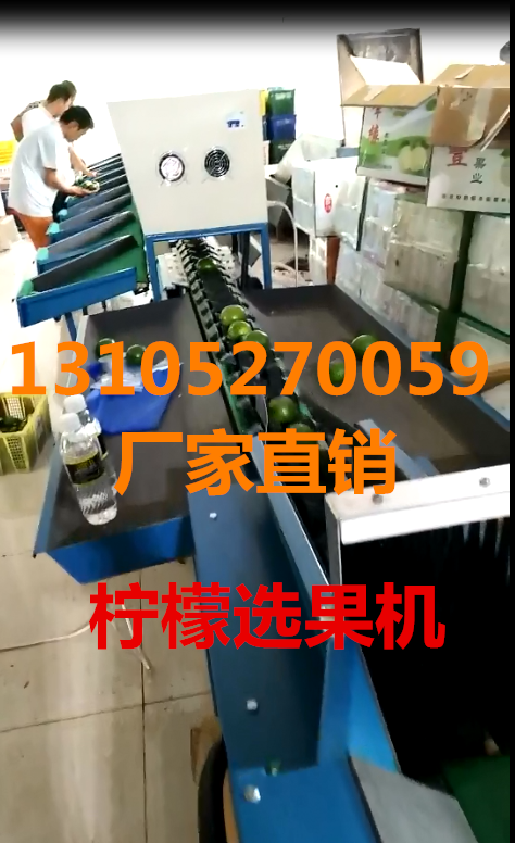 柠檬选果机